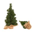 thumbnail image 3 of Creative Mini Burlap Christmas Tree Christmas Day Mall Window Desktop Plant Decoration 20CM or 30CM, 3 of 5