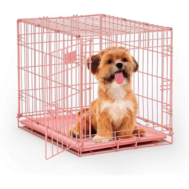 Midwest Icrate Porte Simple Rose de 24 Pouces pour Chiens avec une Caisse en Fil Métallique Rose Comprenant une Porte Simple Ouverte et une base de Plateau en Plastique Amovible, Contenant un Petit Chien Brun et Blanc Assis à l'Intérieur, Conçue pour un Confinement Sécuritaire et Confortable des Animaux avec Portabilité Pliable à Plat et un Panneau Séparateur Gratuit pour le Réglage de la Croissance des Chiots, Convient Aussi au Transport Sécuritaire des Petits Animaux.