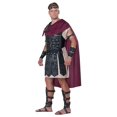 thumbnail image 5 of Roman Gladiator Adult, 5 of 5