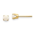 thumbnail image 1 of 14K Yellow Gold 4mm October/Opal Post Earrings, 1 of 2