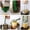 Green #3, variant on Vaidha Canning Clip Set Anti-Hot Wide Mouth Bottle Clip Type Food Clip 6 Set