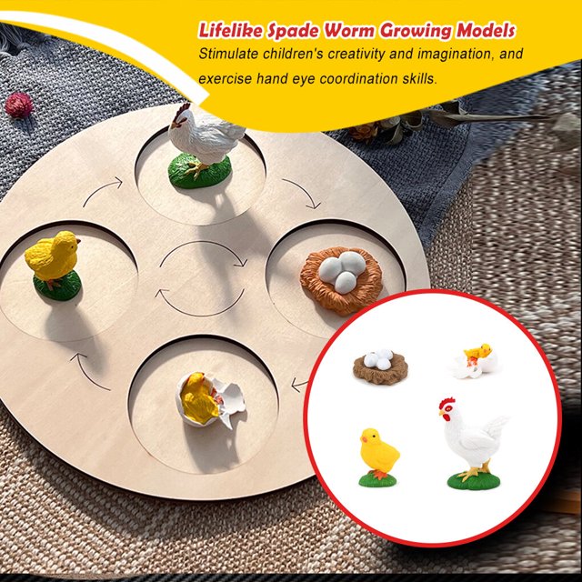 pitrice 1 Set Spade Worm Model Premium Plastic Material Meaningful Insect Figurines Early Educational Growing Models for School Project hen