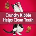thumbnail image 4 of Friskies Party Mix Mixed Grill Crunch, Cat Treats 454g, 4 of 9