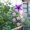 B, variant on Stained Glass Wrought Iron Wind Chime Garden Hanging Home Decor