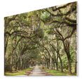 thumbnail image 1 of Design Art - Tunnel en Chêne Vivant, 1 of 5