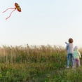 thumbnail image 4 of PENGXIANG Flying 3D Cartoon Parrot Kite Children Outdoor Kids Toy Fun Activity Game Gift, 4 of 7