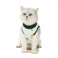 thumbnail image 3 of Chirurgie d'Été de Stérilisation de Chat de Compagnie après la Récupération pour les Chats, 3 of 7