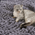 thumbnail image 2 of Comtest Chunky Knit Throw Blanket Chenille, Dark Gray, 87"x103"(California King Size), 2 of 6