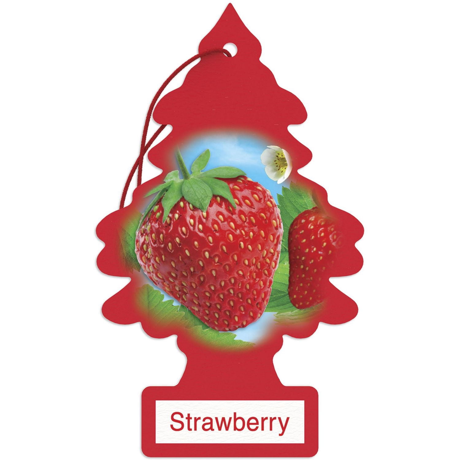 LITTLE TREES air freshener Strawberry 6-Pack