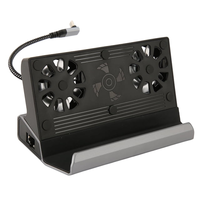 For Steam Deck Docking Station 10 In 1 For Rog Ally Dock With 5 USB 3.0 2.0 Dual Cooling Fan HD Multimedia Interface 4K At 60Hz 100W Charging
