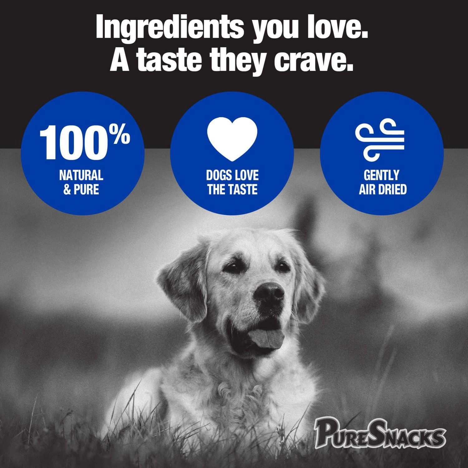 Mini-PureSnacks Gâteries d'Entraînement Séchées à l'Air, Thon pour Chien 396g