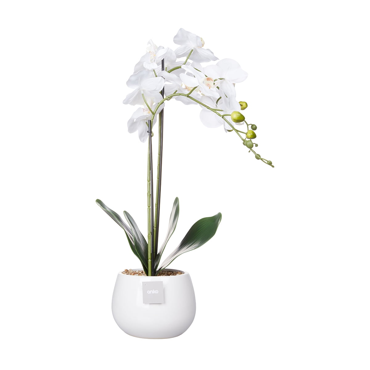 Anko Artificial Orchid in White Pot