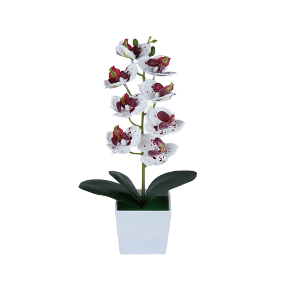 Arrangement Floral d'Orchidée Artificielle à Moins de 5 $, Arrangement Floral d'Orchidée Artificielle en Pot, Faux Centre de Table Floral pour Déco de Table et de Cuisine, Décoration Florale Artificielle Blanche, par Elapind