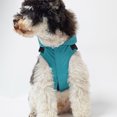 thumbnail image 3 of Xingzhi Polyester Easy To Clean And Maintain Lightweight And Breathable Dog Raincoat Is All Weather Stylish grey XXL, 3 of 6