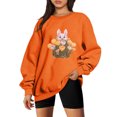 thumbnail image 1 of 2023 Chandail en Molleton de Mode pour Femmes 50 % de Rabais Liquidation Classique Décontracté Nouvel An Chandail de Mode Lapin Col Rond Manches Longues Sans Capuche Chandail Ample, 1 of 3