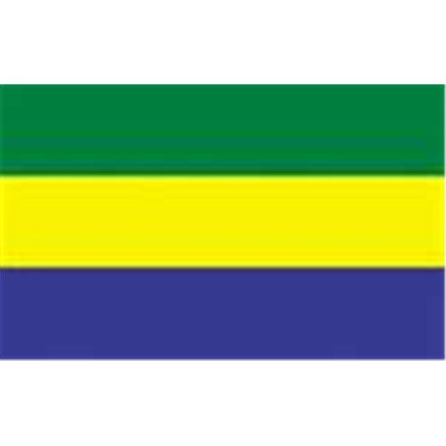 Annin Flagmakers 192753 Drapeau du Gabon Nyl-Glo 2 Pi X 3 Pi