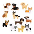 thumbnail image 3 of Animals Sewing Kits Sew Your Own Felt Animals DIY Crafts for Beginner Dog, 3 of 8