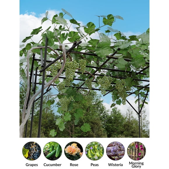 Treillis d'Arche de Jardin en Métal Robuste pour Plantes Grimpantes – Cadre de Fond Floral Extérieur, Décor de Mariage, Fête, Cérémonie et Événement, 47 x 59 x 95 Pouces, Structure de Soutien pour Plantes, Dessus Plat