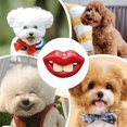 thumbnail image 5 of Jouet pour Animaux de Compagnie Suce Jouet en Silicone pour Dentition – Design Lèvres Rouges TPR Silicone pour Jeu Intérieur Extérieur Entraînement Apaisant Anneau de Dentition pour Animaux, 5 of 5