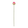 thumbnail image 2 of Linnome Artificial Lotus Flower Spring Summer Decor Realistic One Stem Fake Lotus for Living Room Pond Decoration Z3-Hot Pink, 2 of 6