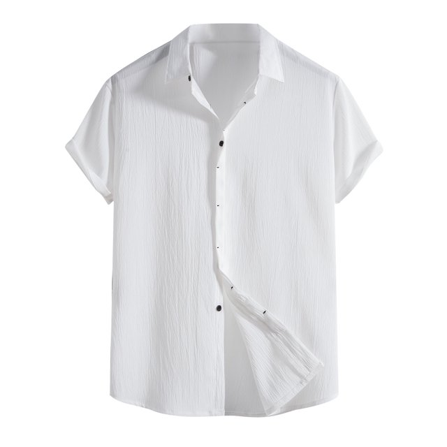 Birdeem Men Casual Solid Turndown Short Sleeve Button Closure Shirt Hawaii Blouse