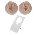 thumbnail image 2 of Modèle d'Oreille en Silicone à Haute Simulation pour la Pratique du Perçage, Accessoires d'Exposition de Boucles d'Oreilles, Réutilisable, 2 of 7