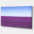 thumbnail image 2 of Lavender Flowers with Blue Horizon - Oversized Landscape Wall Art Print, 2 of 3
