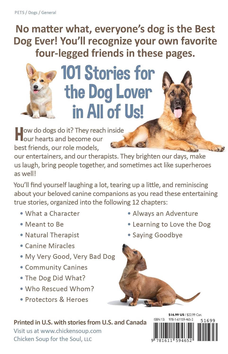 Chicken Soup for the Soul: Best Dog Ever: By Newmark, Amy