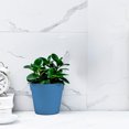thumbnail image 4 of Suncoda Office Storage & Organization, Organization and Storage Automatic Water Absorbing Flowerpot Plastic Circular Flowerpot, 4 of 6