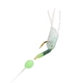 thumbnail image 3 of Rigs Bait 10 Hooks Fishing Feather Lures Sea Herring Baits String Hooks, 3 of 8