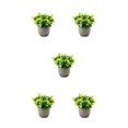 thumbnail image 3 of Redempat Plastic Easy To Clean Artificial Succulent Realistic Appearance Long-lasting Durability Eco-friendly newyellowbabysbreath 5Set, 3 of 6