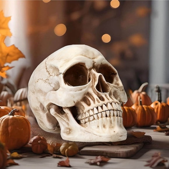 Todaioua Resin Skull, Human Head Model for Home Decoration, Halloween Statue, Skull Model for Bookshelf and Desktop