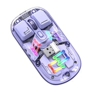Mouse Mouse Wireless Transparent Wireless Mouse 2.4G/Bluetooth 5.0 2-Mode Connection Type-C Rechargeable Mouse Standard Magnetic Rgb Lighting Usb Mouse Wireless