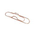 thumbnail image 5 of Metal Pen Clips,Paperclip Pen Holders for Notebooks and Papers,Multifunctional Pen Clips,Portable Metal Paper Clips,Pen Holder Clip for Notebook,Books,Planner,Journals,Clipboard and Paper,Gold 2PCS, 5 of 5