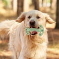 thumbnail image 3 of TIELUTT 1PCS Durable Dog Toothbrush Chew Toy Dog Bones for Medium Dogs Busy Puppy Chewing Toothbrush and Toothpaste for Dogs Small Dog Christmas Stocking Filled with and Standard Poodle Puppy Dog Bow, 3 of 7