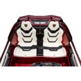 thumbnail image 5 of Licensed 24V Luxurious Lamborghini Sian 4×4 Ride On Car for Kids, 5 of 5