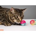 thumbnail image 4 of Hartz Just for Cats Bizzy Balls 3pk Cat Toy, 4 of 4
