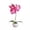 Hot Pink, variant on TIELUTT Bonsai Indoor Orchid Bonsai Fall Flowers Flowers Teal Flowers Jasmine Flowers Flowers Outdoor