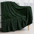 thumbnail image 2 of PAVILIA Super Soft Fleece Throw Blanket Twin Emerald Green, Fuzzy Plush Flannel Throw, Warm Cozy Ribbed Microfiber Blanket for Sofa Couch Bed, Lightweight Striped Blanket, Green, 60x80, 2 of 9