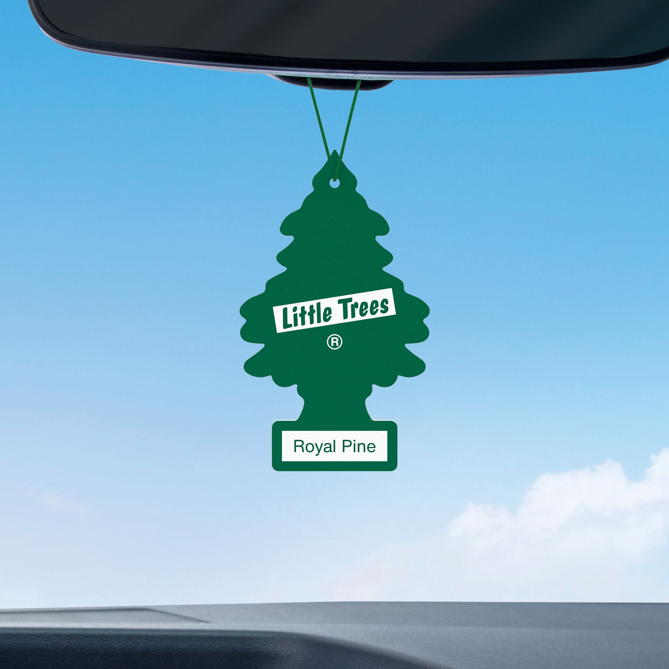 LITTLE TREES air freshener Royal Pine 6-Pack