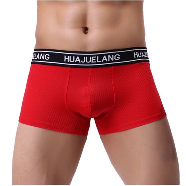 HUAJUELANG Mens Soft Briefs Underpants Knickers Shorts Underwear
