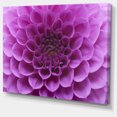 thumbnail image 2 of Large Light Purple Flower and Petals - Floral Canvas Art Print, 2 of 3