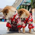 thumbnail image 1 of Pets Printed Kimono With Bowknot Girdle Fashionable Japanese Style Waist Magic Buckle Neckline Snap Buttons Clothes For Dogs Cats, 1 of 7