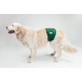 thumbnail image 2 of Bande Ventrale pour Chien Lavable WONDERSTM, 2 of 4