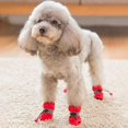 thumbnail image 3 of Dog Boots for Small Medium Dogs and Puppy Snow Winter Shoes Paw Protector, 3 of 9