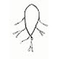 thumbnail image 3 of Landing Gear Waterfowl 5 Call Lanyard, 3 of 3