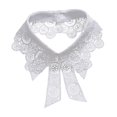 thumbnail image 1 of GUOOL Fake Collar Decorative Choker Detachable Lapel Lace Faux False Collar C, 1 of 9