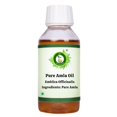 thumbnail image 1 of R V Essential Pure Amla Oil 100ml (3.38oz)- Emblica Officinalis (100% Pure and Natural Rare Herb Series), 1 of 9