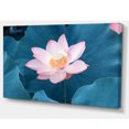 thumbnail image 2 of Blooming Pink Lotus Flower - Oversized Beach Canvas Artwork, 2 of 3