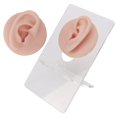 thumbnail image 4 of Modèle d'Oreille en Silicone à Haute Simulation pour la Pratique du Perçage, Accessoires d'Exposition de Boucles d'Oreilles, Réutilisable, 4 of 7